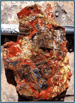 Sample of mineralized rock from the Ecru Gold Project in Nevada.