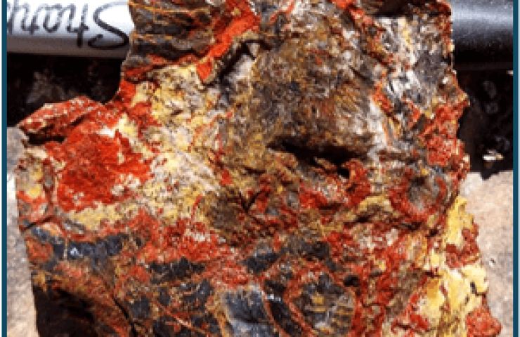 Sample of mineralized rock from the Ecru Gold Project in Nevada.