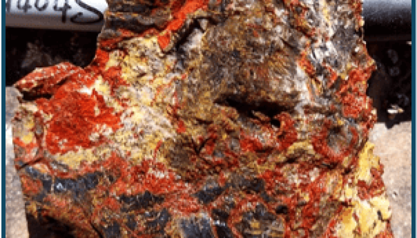 Sample of mineralized rock from the Ecru Gold Project in Nevada.